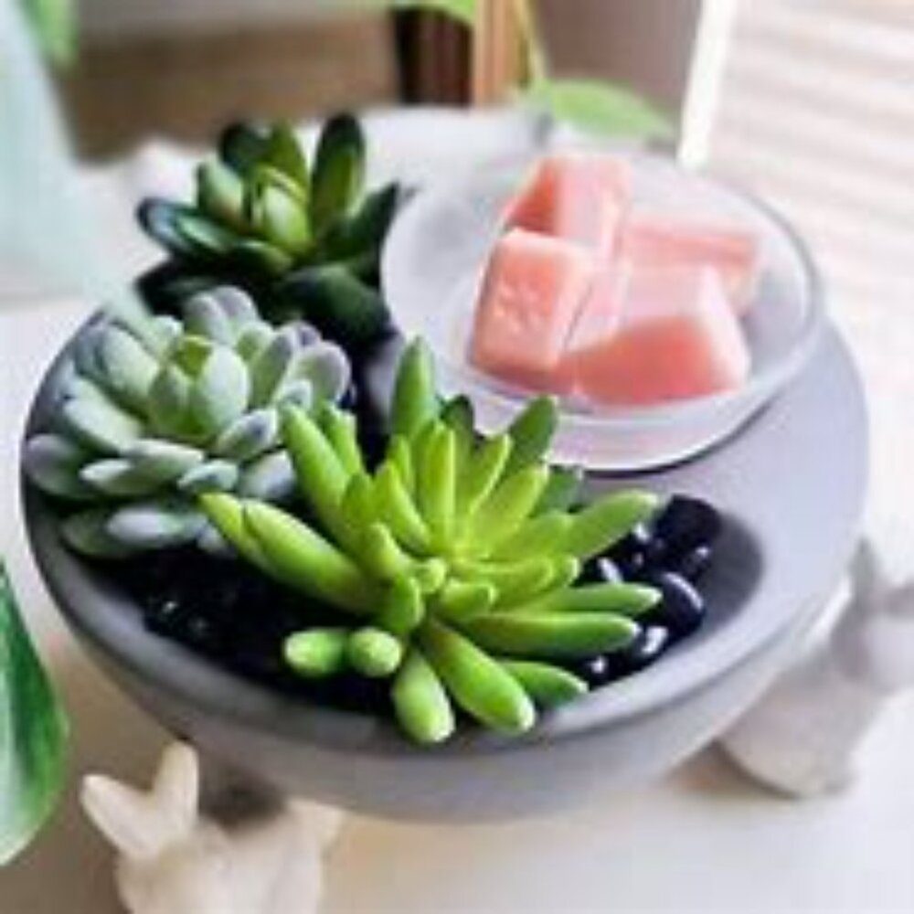 Scentsy Little Garden Succulent Wax Warmer Gray [NIB]